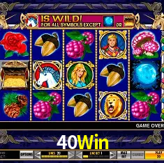 40Win Rio de Janeiro - Professional Dealers